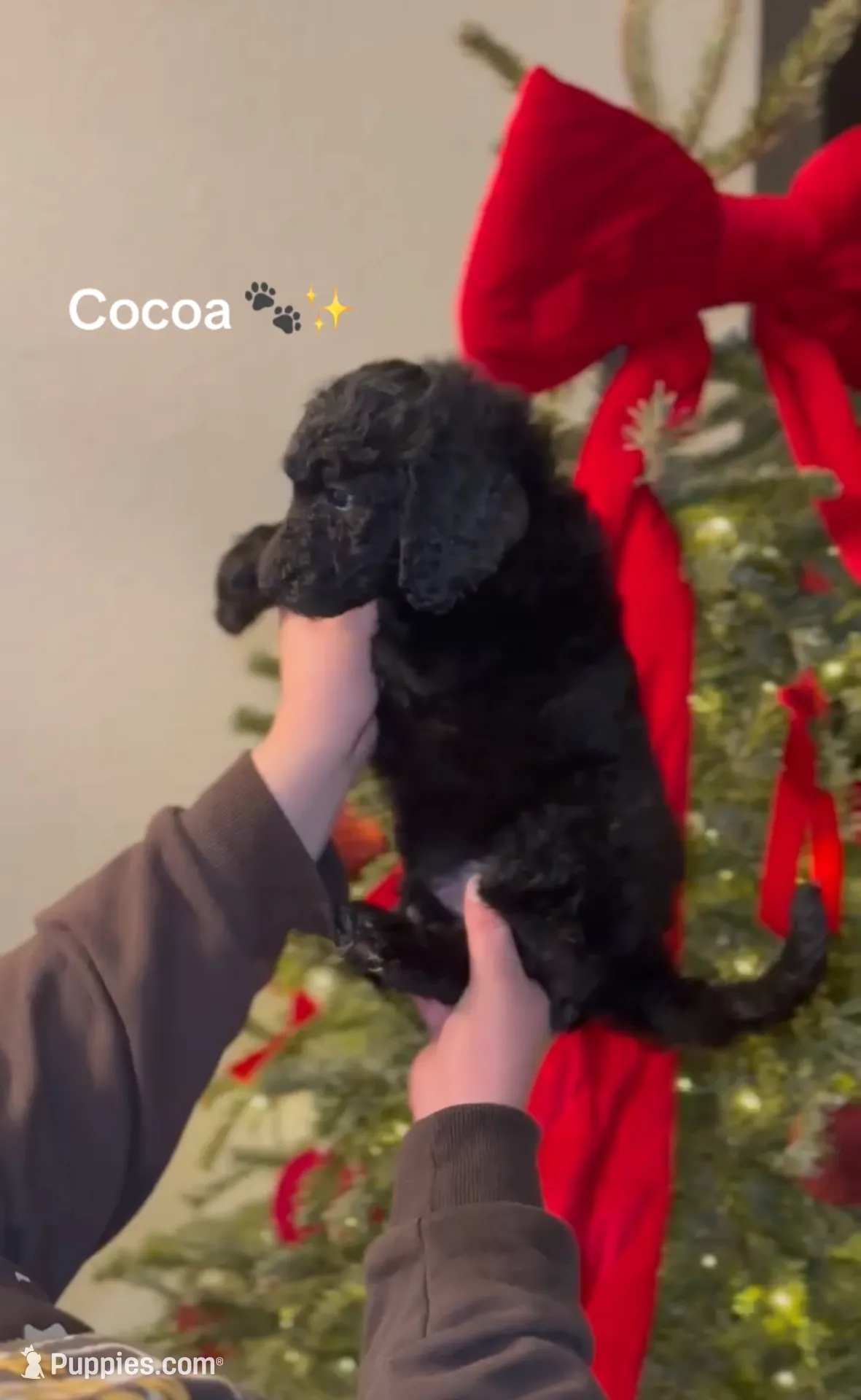 processed/18a09e06-8ae6-43b0-96bd-1b81913e7ff1/listing/be028818-9431-4dc9-b1a5-b448fc91053f/d7559353-f5c4-43c0-b836-a3930417586e