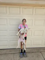 Chico, a male Bull Terrier for sale in Denver, CO – 4 of 5