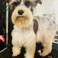 processed/18adea95-f037-41f8-9708-bc75339f3fb1/facility/3681846e-14db-442c-be6e-0ae479ded707