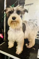 processed/18adea95-f037-41f8-9708-bc75339f3fb1/facility/3681846e-14db-442c-be6e-0ae479ded707