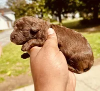 processed/18adea95-f037-41f8-9708-bc75339f3fb1/facility/7b2591d4-a969-4abe-b4a9-e4d1a26ad9d7