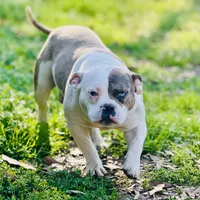 processed/18adea95-f037-41f8-9708-bc75339f3fb1/facility/818ce545-756c-4568-ab83-fa86dc5319c9