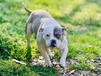 processed/18adea95-f037-41f8-9708-bc75339f3fb1/facility/818ce545-756c-4568-ab83-fa86dc5319c9