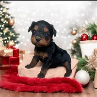 processed/18adea95-f037-41f8-9708-bc75339f3fb1/facility/8a3162b2-f6d3-450e-800b-0f40ff1702c4