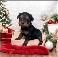 processed/18adea95-f037-41f8-9708-bc75339f3fb1/facility/8a3162b2-f6d3-450e-800b-0f40ff1702c4