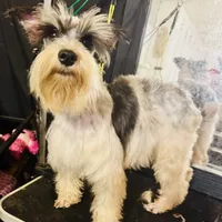 processed/18adea95-f037-41f8-9708-bc75339f3fb1/facility/b105c892-49bf-4be3-93eb-0d89288496ec