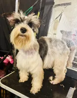 processed/18adea95-f037-41f8-9708-bc75339f3fb1/facility/b105c892-49bf-4be3-93eb-0d89288496ec