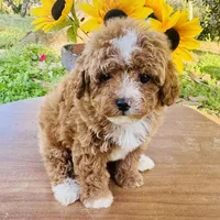 processed/18adea95-f037-41f8-9708-bc75339f3fb1/facility/b1ad17a8-f423-487d-967b-ba49d31d19b7