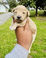 processed/18adea95-f037-41f8-9708-bc75339f3fb1/facility/b641c149-315b-49f8-8dd5-202fe8d41fb8