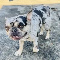 processed/18adea95-f037-41f8-9708-bc75339f3fb1/facility/c4a776b1-e132-45f3-8b2f-1eb3b2443637