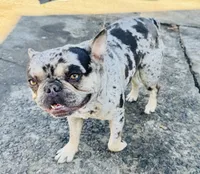 processed/18adea95-f037-41f8-9708-bc75339f3fb1/facility/c4a776b1-e132-45f3-8b2f-1eb3b2443637