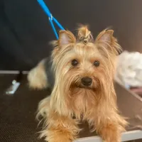 processed/18adea95-f037-41f8-9708-bc75339f3fb1/facility/c71c1439-6ad1-4281-ad2d-872dc681bebb