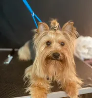 processed/18adea95-f037-41f8-9708-bc75339f3fb1/facility/c71c1439-6ad1-4281-ad2d-872dc681bebb