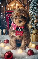 processed/18adea95-f037-41f8-9708-bc75339f3fb1/facility/f29bb0be-ba82-4ddb-accc-a315476dec49