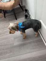 processed/18adea95-f037-41f8-9708-bc75339f3fb1/listing/05bec48d-68c8-4c55-8eea-a01d885e445f/57529d39-56be-4b82-a50f-d7175e59b62e