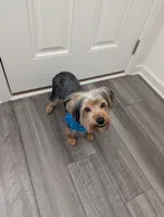 processed/18adea95-f037-41f8-9708-bc75339f3fb1/listing/05bec48d-68c8-4c55-8eea-a01d885e445f/e33caf43-9e5a-4583-84ad-7bb1c1aececd