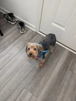 processed/18adea95-f037-41f8-9708-bc75339f3fb1/listing/05bec48d-68c8-4c55-8eea-a01d885e445f/fc6c43e7-0690-4552-bd57-df658d2015e4