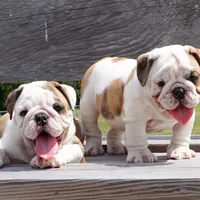 processed/18bc9951-f955-4f76-a0e5-e6c9860dd236/facility/0c3f3af2-d687-4a1f-91b1-f262121df4ac