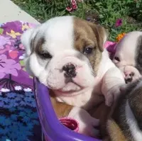 processed/18bc9951-f955-4f76-a0e5-e6c9860dd236/facility/1fe72329-0d0e-40c2-bcb9-2bbbf9c13a60