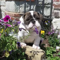 processed/18bc9951-f955-4f76-a0e5-e6c9860dd236/facility/2d518af7-db10-4bcc-9f2d-2c2addab1114