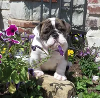 processed/18bc9951-f955-4f76-a0e5-e6c9860dd236/facility/2d518af7-db10-4bcc-9f2d-2c2addab1114