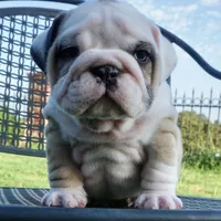 processed/18bc9951-f955-4f76-a0e5-e6c9860dd236/facility/376b59c1-3918-47a0-9d4d-a42b4bd1817c