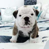 processed/18bc9951-f955-4f76-a0e5-e6c9860dd236/facility/459c5e0e-00d0-46cb-b943-3456f14ac664