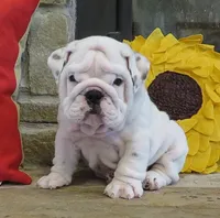 processed/18bc9951-f955-4f76-a0e5-e6c9860dd236/facility/8b58d361-2c19-43f6-a45b-efd0ef500baa