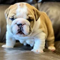 processed/18bc9951-f955-4f76-a0e5-e6c9860dd236/facility/95cb6372-db89-4a81-98b3-fa62e4a92895