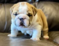 processed/18bc9951-f955-4f76-a0e5-e6c9860dd236/facility/95cb6372-db89-4a81-98b3-fa62e4a92895