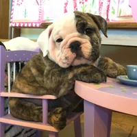 processed/18bc9951-f955-4f76-a0e5-e6c9860dd236/facility/abb2be22-b08d-4470-994a-f2b61ed6b1c4