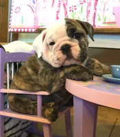 processed/18bc9951-f955-4f76-a0e5-e6c9860dd236/facility/abb2be22-b08d-4470-994a-f2b61ed6b1c4