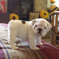 processed/18bc9951-f955-4f76-a0e5-e6c9860dd236/facility/ac11a015-71ec-417a-847d-ce7c5f0df2ed