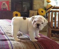 processed/18bc9951-f955-4f76-a0e5-e6c9860dd236/facility/ac11a015-71ec-417a-847d-ce7c5f0df2ed