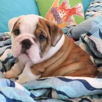 processed/18bc9951-f955-4f76-a0e5-e6c9860dd236/facility/f5efb99a-b12c-478d-a8bc-1bbb16ba6a2a