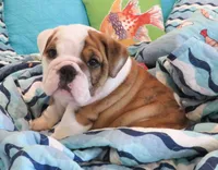 processed/18bc9951-f955-4f76-a0e5-e6c9860dd236/facility/f5efb99a-b12c-478d-a8bc-1bbb16ba6a2a