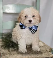 processed/18c0db96-3006-45c9-94ca-9f366f1bc47c/listing/2020bffb-ea5c-46b5-8270-dc0322a26796/19a13d9c-c681-46d2-933f-a03b41b1426b