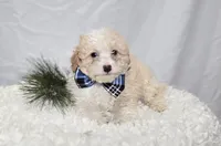 processed/18c0db96-3006-45c9-94ca-9f366f1bc47c/listing/2020bffb-ea5c-46b5-8270-dc0322a26796/870cf36d-0f69-4aaa-84ac-605e5b3a5292