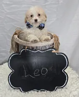 processed/18c0db96-3006-45c9-94ca-9f366f1bc47c/listing/2020bffb-ea5c-46b5-8270-dc0322a26796/93f243ba-556d-424d-abb8-2512137116cd