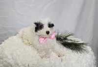 processed/18c0db96-3006-45c9-94ca-9f366f1bc47c/listing/3d812cf8-a0f4-469f-a17e-b8c0c893bd08/127c0101-bfed-40dc-96a3-01b3d6a70432