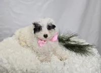 processed/18c0db96-3006-45c9-94ca-9f366f1bc47c/listing/3d812cf8-a0f4-469f-a17e-b8c0c893bd08/6e01f53c-224c-489a-a7b6-220310873607