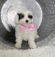 processed/18c0db96-3006-45c9-94ca-9f366f1bc47c/listing/3d812cf8-a0f4-469f-a17e-b8c0c893bd08/92d86888-f917-4546-bf63-566ec6848f9f