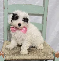 processed/18c0db96-3006-45c9-94ca-9f366f1bc47c/listing/3d812cf8-a0f4-469f-a17e-b8c0c893bd08/a8f185ce-d208-4e7e-979e-836efec008a9