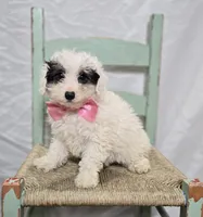 processed/18c0db96-3006-45c9-94ca-9f366f1bc47c/listing/3d812cf8-a0f4-469f-a17e-b8c0c893bd08/c001b2e6-5261-485a-9a8f-7b81c910b4c4