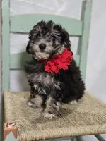 processed/18c0db96-3006-45c9-94ca-9f366f1bc47c/listing/4f9768dd-c173-46f5-85ee-4e8031040a0a/7b0625ec-06d0-4904-9741-f2d05a4f9b81