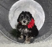 processed/18c0db96-3006-45c9-94ca-9f366f1bc47c/listing/4f9768dd-c173-46f5-85ee-4e8031040a0a/bdddf771-ff72-4de6-9c04-5809c676ce35