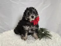 processed/18c0db96-3006-45c9-94ca-9f366f1bc47c/listing/4f9768dd-c173-46f5-85ee-4e8031040a0a/c28900f4-bc40-4d34-9855-44e7c76ff74e