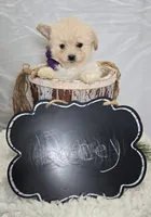 processed/18c0db96-3006-45c9-94ca-9f366f1bc47c/listing/81602db8-2b98-4dbb-ae02-fca2c2d40b96/a6d91dee-b249-4ad3-8893-eb63e149514d