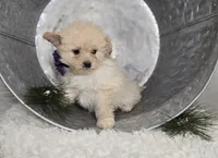 processed/18c0db96-3006-45c9-94ca-9f366f1bc47c/listing/81602db8-2b98-4dbb-ae02-fca2c2d40b96/b1f61246-1e6f-483f-847f-3027ec07f108