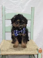 processed/18c0db96-3006-45c9-94ca-9f366f1bc47c/listing/8b261a38-80a6-44d2-bdef-6ff13592b3e8/9af78d31-64b4-4651-be6e-4d3e42c19f3b